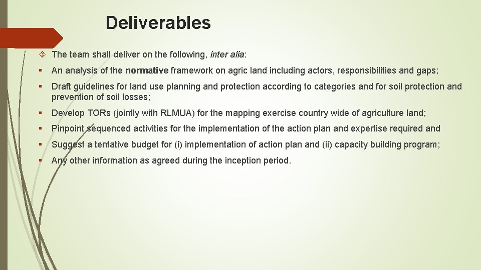 Deliverables The team shall deliver on the following, inter alia: § An analysis of