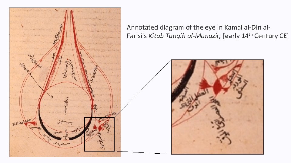 Annotated diagram of the eye in Kamal al-Din al. Farisi's Kitab Tanqih al-Manazir, [early