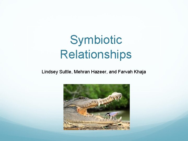 Symbiotic Relationships Lindsey Suttle, Mehran Hazeer, and Farvah Khaja 