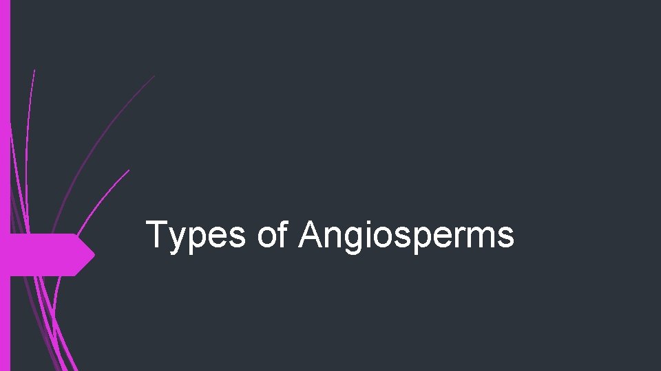 Types of Angiosperms 