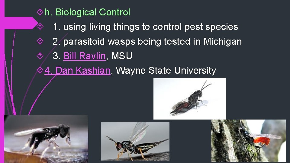  h. Biological Control 1. using living things to control pest species 2. parasitoid