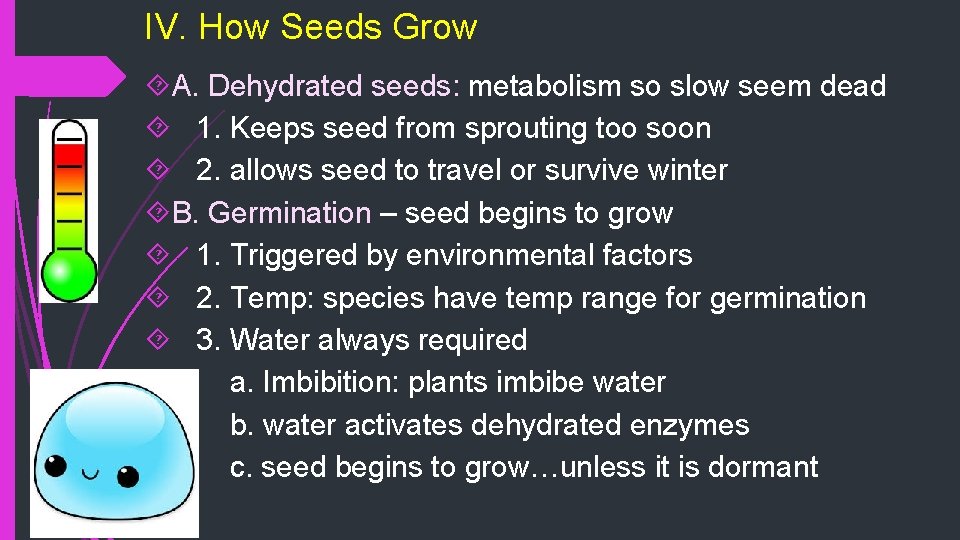 IV. How Seeds Grow A. Dehydrated seeds: metabolism so slow seem dead 1. Keeps