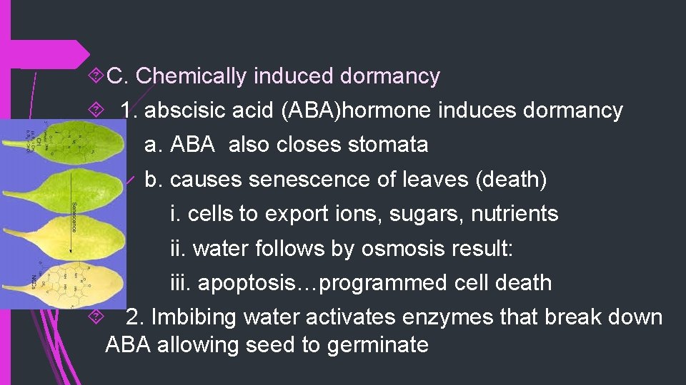  C. Chemically induced dormancy 1. abscisic acid (ABA)hormone induces dormancy a. ABA also