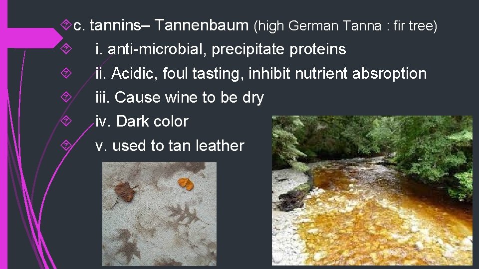  c. tannins– Tannenbaum (high German Tanna : fir tree) i. anti-microbial, precipitate proteins