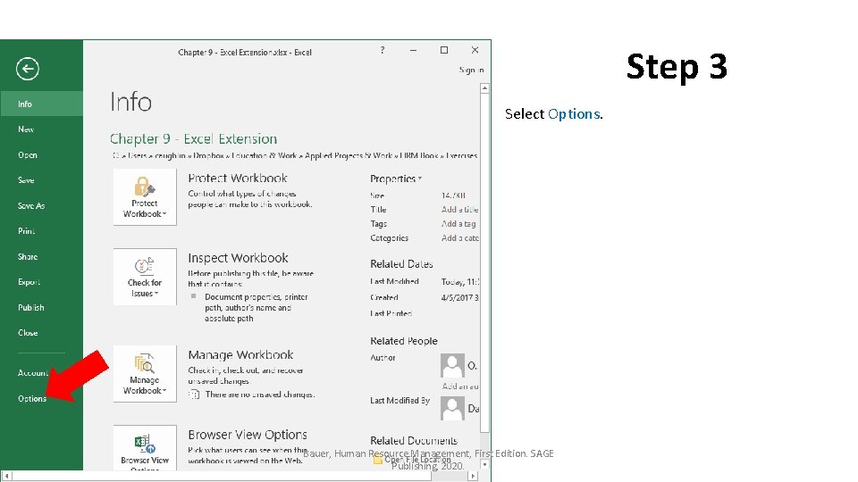 Step 3 Select Options. Bauer, Human Resource Management, First Edition. SAGE Publishing, 2020. 