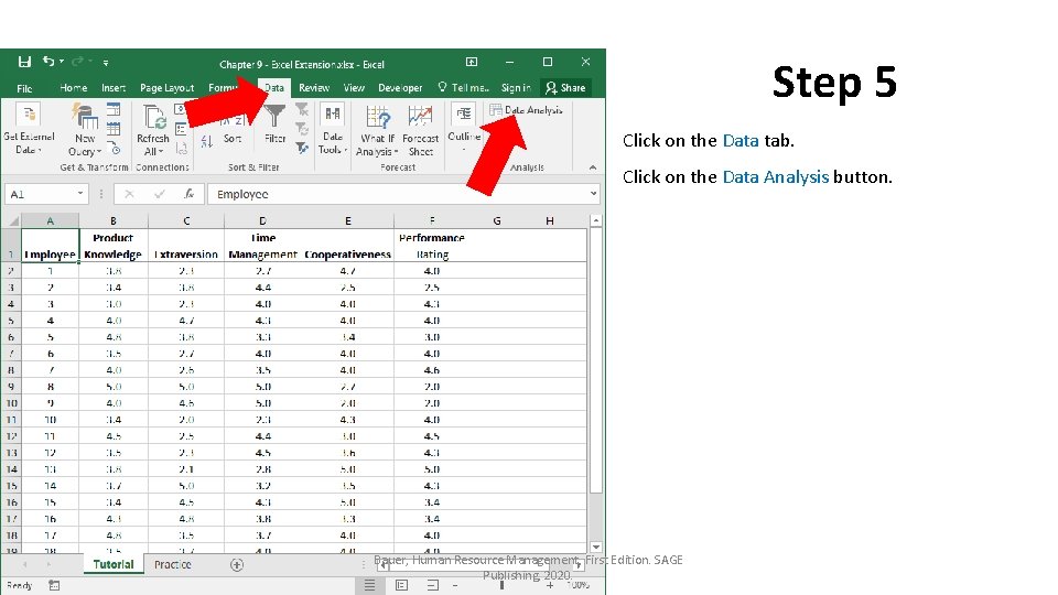 Step 5 Click on the Data tab. Click on the Data Analysis button. Bauer,