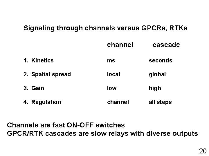 Signaling through channels versus GPCRs, RTKs channel cascade 1. Kinetics ms seconds 2. Spatial Signaling through channels versus GPCRs, RTKs channel cascade 1. Kinetics ms seconds 2. Spatial