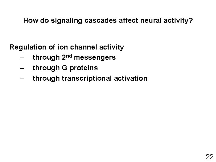How do signaling cascades affect neural activity? Regulation of ion channel activity – through How do signaling cascades affect neural activity? Regulation of ion channel activity – through