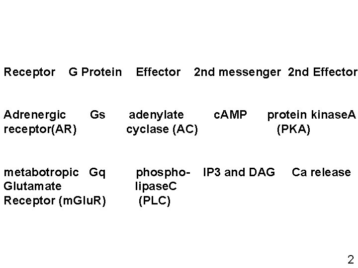 Receptor G Protein Adrenergic receptor(AR) Gs metabotropic Gq Glutamate Receptor (m. Glu. R) Effector Receptor G Protein Adrenergic receptor(AR) Gs metabotropic Gq Glutamate Receptor (m. Glu. R) Effector