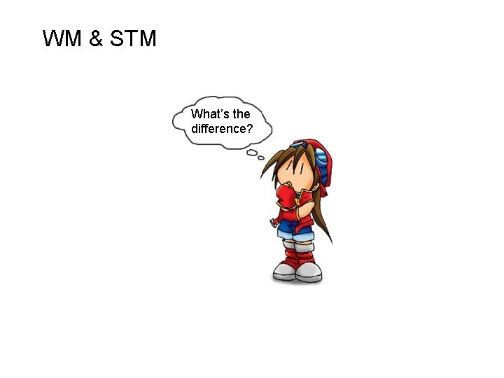 WM & STM What’s the difference? 