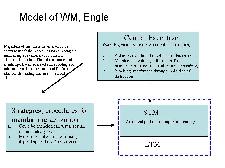 Model of WM, Engle Central Executive Magnitude of this link is determined by the