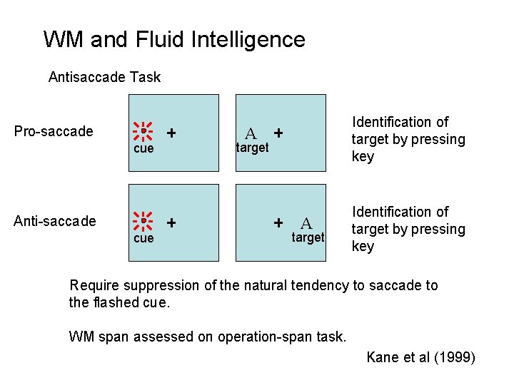 WM and Fluid Intelligence Antisaccade Task Pro-saccade cue Anti-saccade cue Identification of target by
