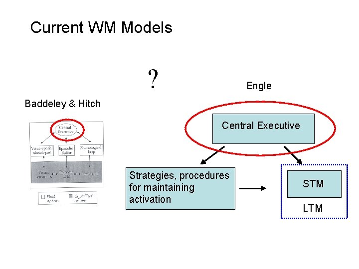 Current WM Models ? Engle Baddeley & Hitch Central Executive Strategies, procedures for maintaining