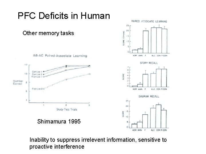 PFC Deficits in Human Other memory tasks Shimamura 1995 Inability to suppress irrelevent information,