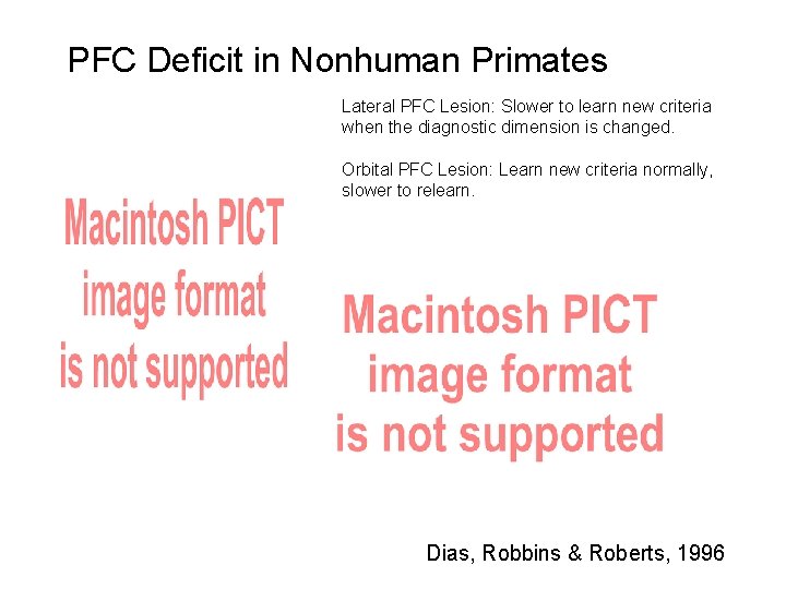 PFC Deficit in Nonhuman Primates Lateral PFC Lesion: Slower to learn new criteria when