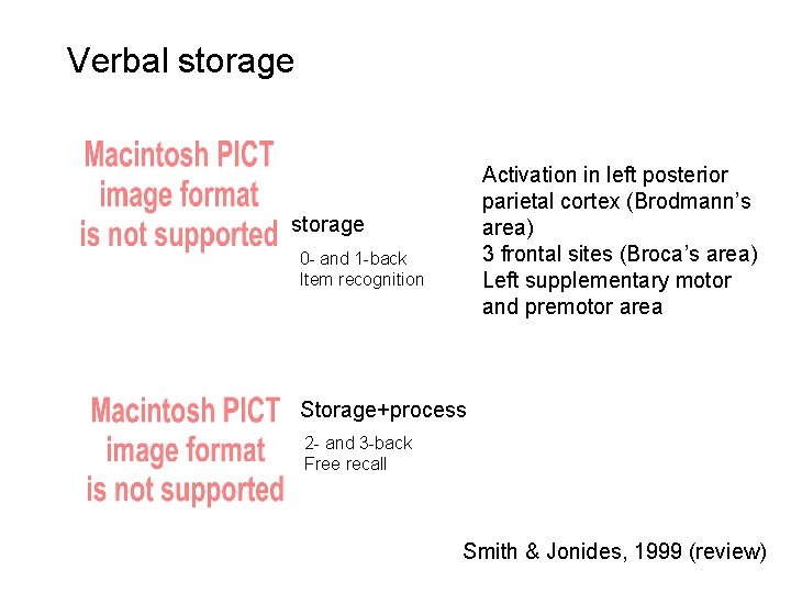 Verbal storage Activation in left posterior parietal cortex (Brodmann’s area) 3 frontal sites (Broca’s
