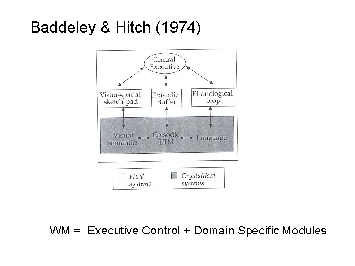 Baddeley & Hitch (1974) WM = Executive Control + Domain Specific Modules 
