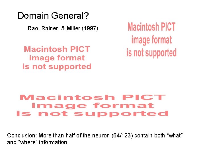 Domain General? Rao, Rainer, & Miller (1997) Conclusion: More than half of the neuron