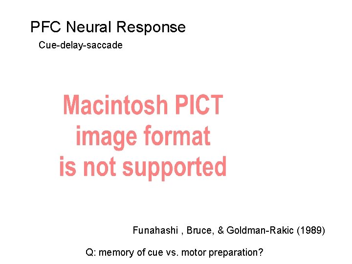 PFC Neural Response Cue-delay-saccade Funahashi , Bruce, & Goldman-Rakic (1989) Q: memory of cue