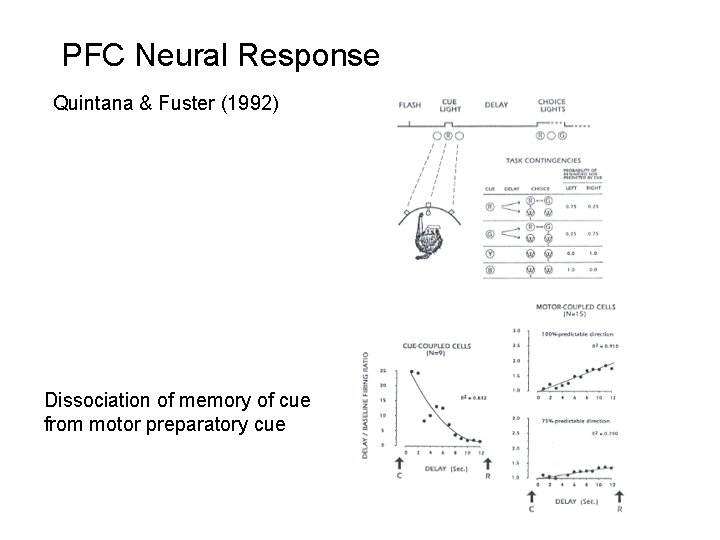 PFC Neural Response Quintana & Fuster (1992) Dissociation of memory of cue from motor