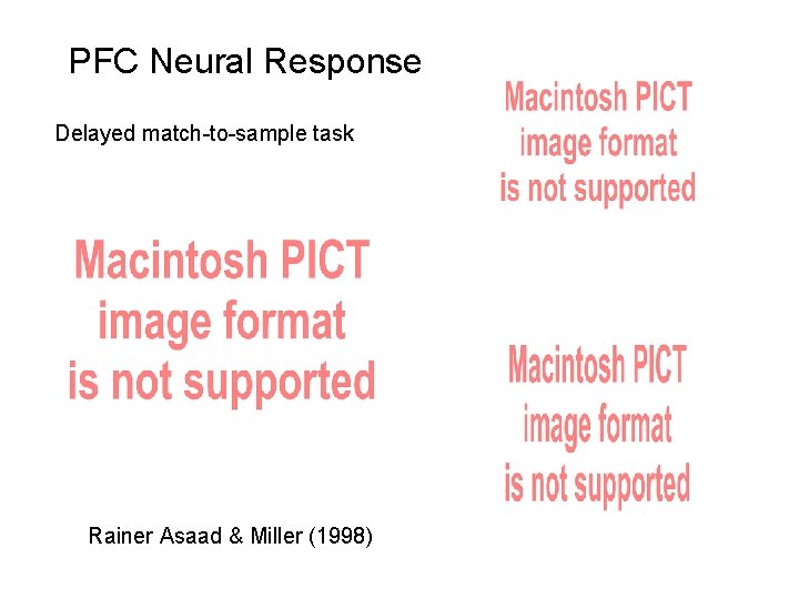 PFC Neural Response Delayed match-to-sample task Rainer Asaad & Miller (1998) 