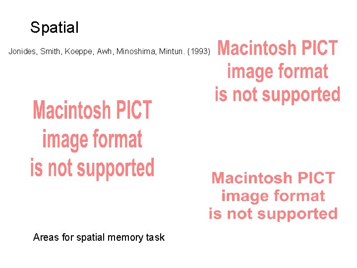 Spatial Jonides, Smith, Koeppe, Awh, Minoshima, Mintun. (1993) Areas for spatial memory task 