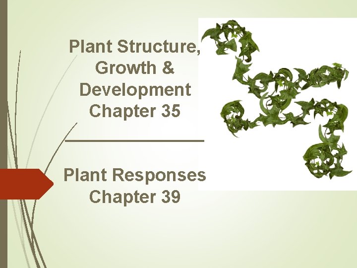 Plant Structure, Growth & Development Chapter 35 _______ Plant Responses Chapter 39 