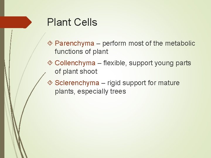 Plant Cells Parenchyma – perform most of the metabolic functions of plant Collenchyma –