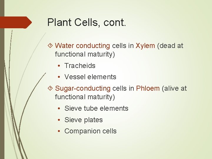 Plant Cells, cont. Water conducting cells in Xylem (dead at functional maturity) • Tracheids