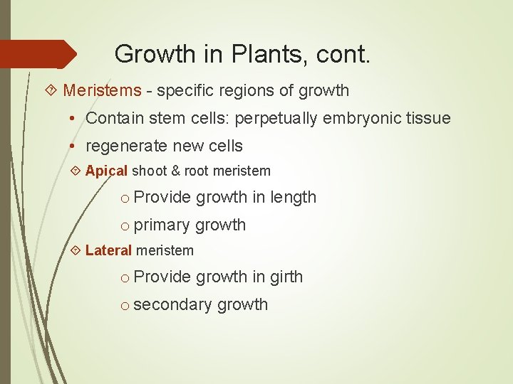 Growth in Plants, cont. Meristems - specific regions of growth • Contain stem cells: