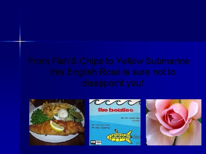 From Fish’& Chips to Yellow Submarine this English Rose is sure not to disappoint