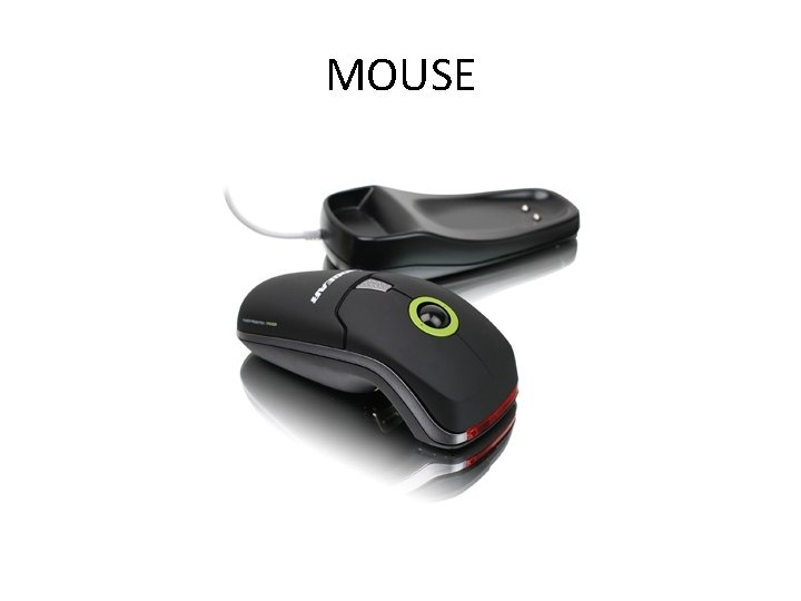 MOUSE 