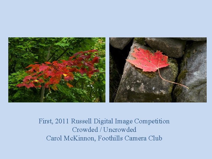 First, 2011 Russell Digital Image Competition Crowded / Uncrowded Carol Mc. Kinnon, Foothills Camera