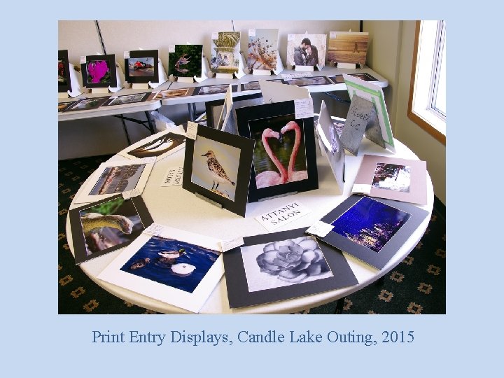 Print Entry Displays, Candle Lake Outing, 2015 