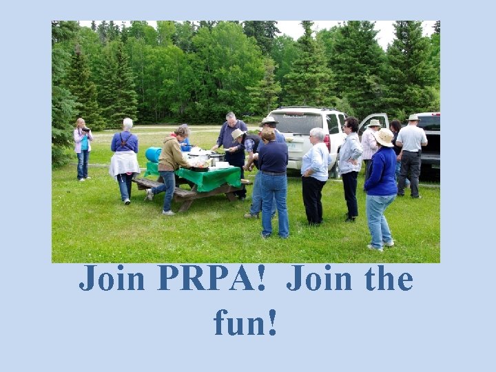 Picnic in the Park, Candle Lake Outing, 2015 Join PRPA! Join the fun! 