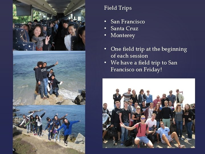 Field Trips • San Francisco • Santa Cruz • Monterey • One field trip