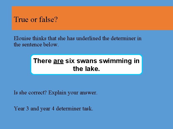 True or false? Elouise thinks that she has underlined the determiner in the sentence