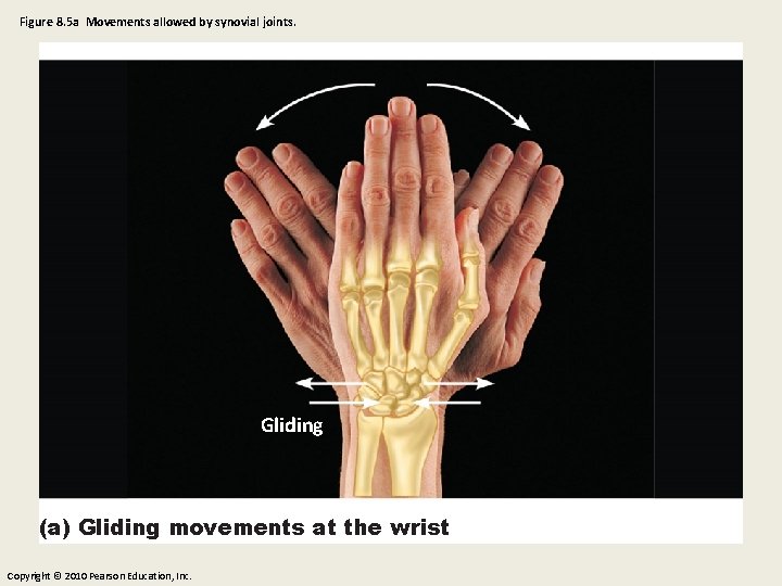 Figure 8. 5 a Movements allowed by synovial joints. Gliding (a) Gliding movements at