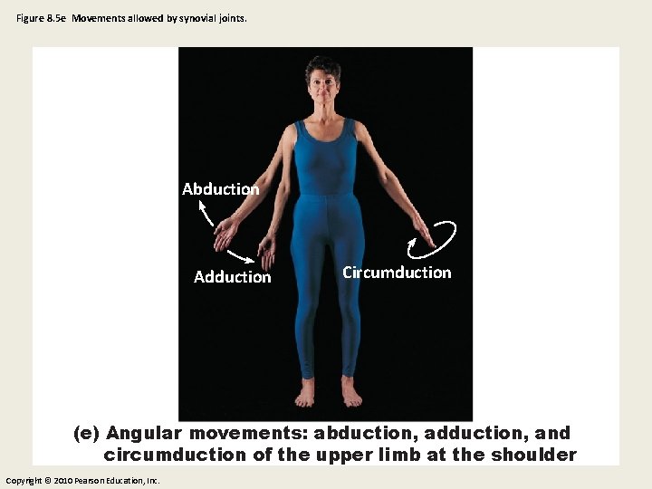 Figure 8. 5 e Movements allowed by synovial joints. Abduction Adduction Circumduction (e) Angular