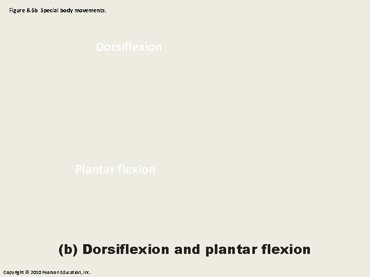 Figure 8. 6 b Special body movements. Dorsiflexion Plantar flexion (b) Dorsiflexion and plantar