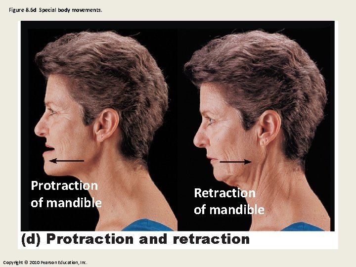 Figure 8. 6 d Special body movements. Protraction of mandible Retraction of mandible (d)