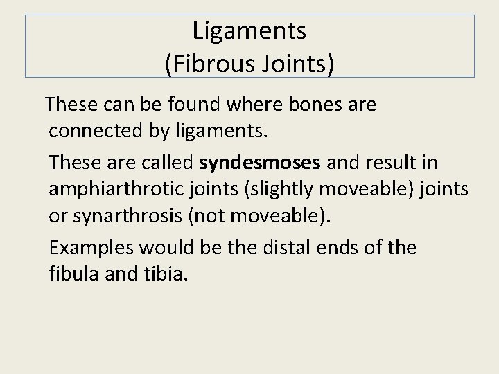 Ligaments (Fibrous Joints) These can be found where bones are connected by ligaments. These