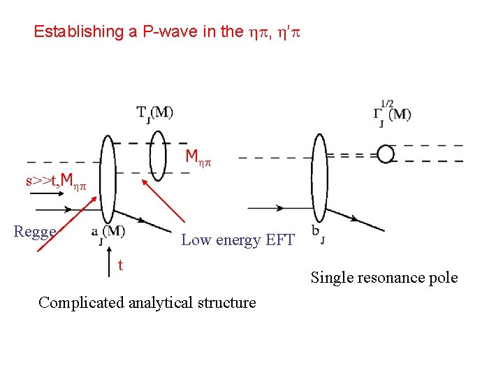 Establishing a P-wave in the , ’ M s>>t, M Regge Low energy EFT