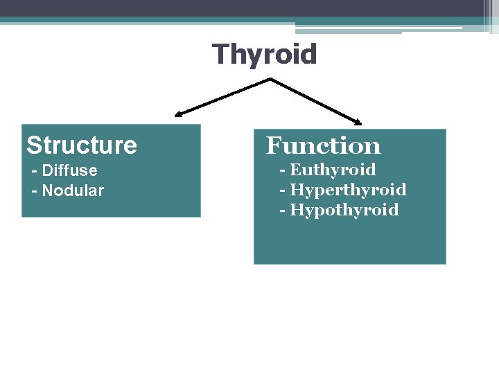 Thyroid Structure - Diffuse - Nodular Function - Euthyroid - Hyperthyroid - Hypothyroid 