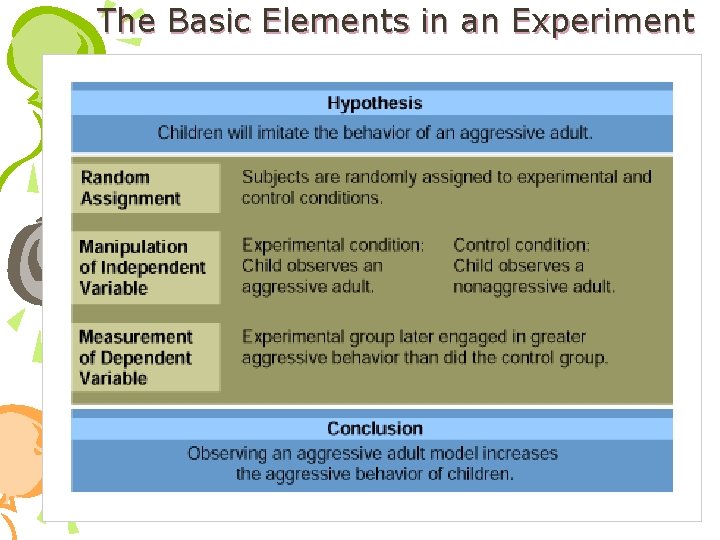 The Basic Elements in an Experiment 