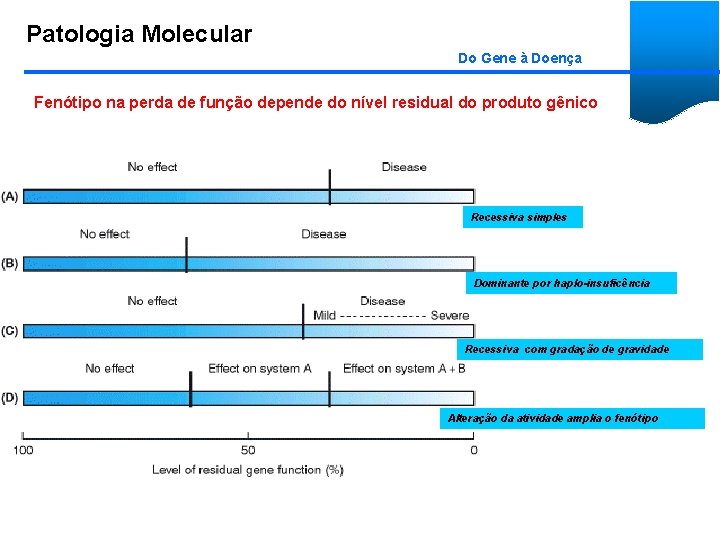 Patologia Molecular Do Gene à Doença Fenótipo na perda de função depende do nível