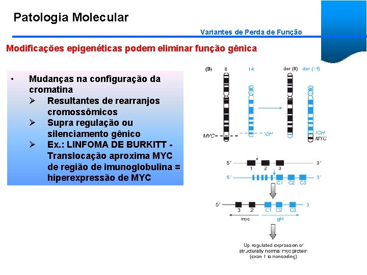 Patologia Molecular Variantes de Perda de Função Modificações epigenéticas podem eliminar função gênica •
