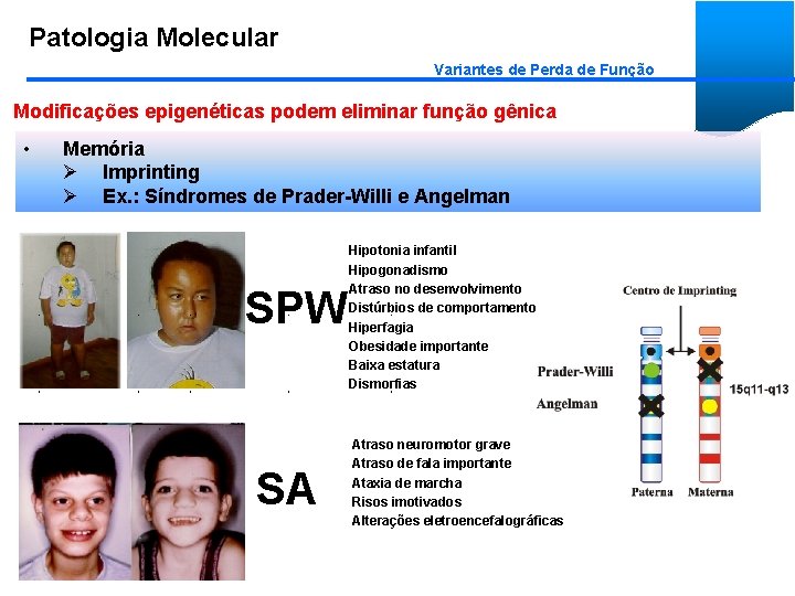 Patologia Molecular Variantes de Perda de Função Modificações epigenéticas podem eliminar função gênica •