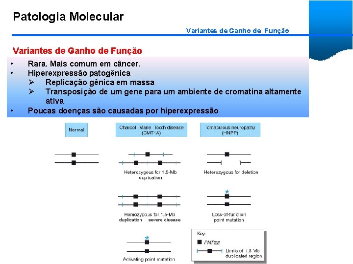 Patologia Molecular Variantes de Ganho de Função • • • Rara. Mais comum em