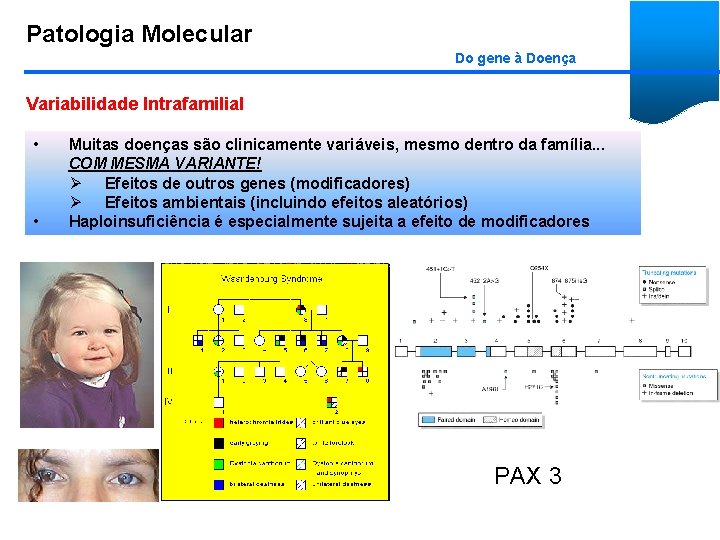 Patologia Molecular Do gene à Doença Variabilidade Intrafamilial • • Muitas doenças são clinicamente